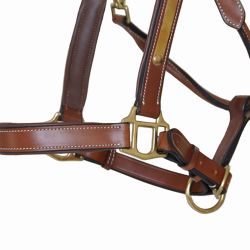 Licol cuir avec plaque T de T