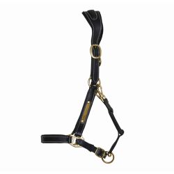 Licol cuir avec plaque T de T