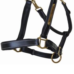 Licol cuir avec plaque T de T