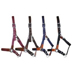 Licol cuir et sangle T de T