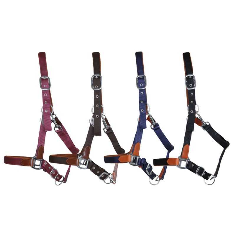 Licol cuir et sangle T de T