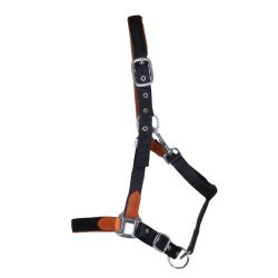 Licol cuir et sangle T de T