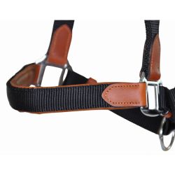 Licol cuir et sangle T de T