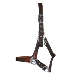 Licol cuir et sangle T de T