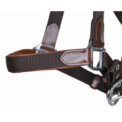 Licol cuir et sangle T de T