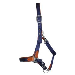 Licol cuir et sangle T de T