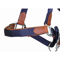 Licol cuir et sangle T de T