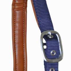 Licol cuir et sangle T de T