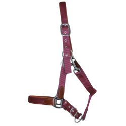 Licol cuir et sangle T de T