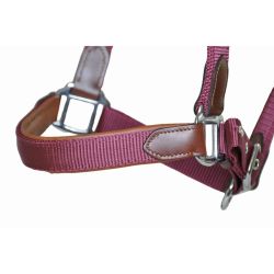 Licol cuir et sangle T de T