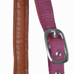 Licol cuir et sangle T de T