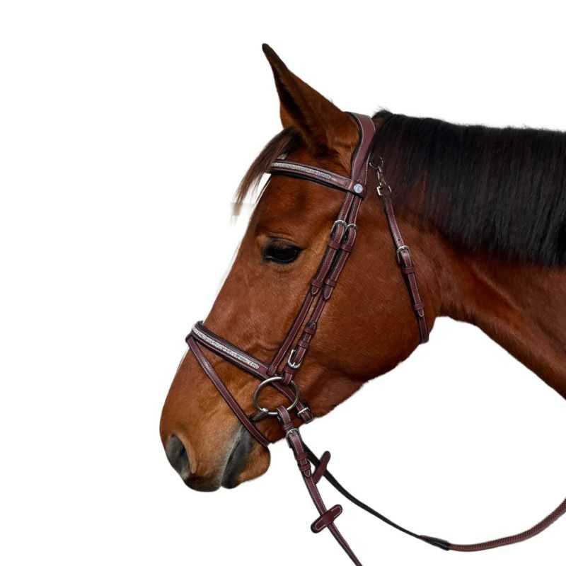 Bridon Aachen Flags&Cup 