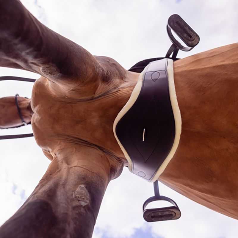 Sangle anatomique en cuir et mouton amovible T de T