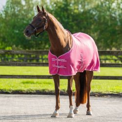 Chemise Polaire Color Q-essentials