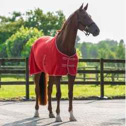 Chemise Polaire Color Q-essentials