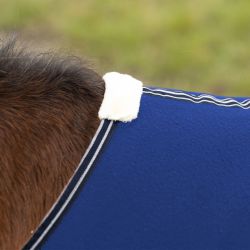 Polaire Shetland QHP