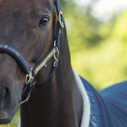 Licol Faux Leather Heritage Eskadron