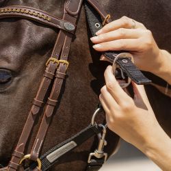 Licol pour harnacher QHP