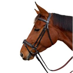 Bridon Mylord Canter
