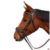 Bridon Mylord Canter