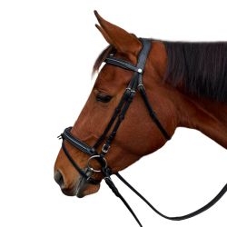 Bridon Mylord Canter