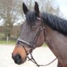 Bridon Mylord Canter