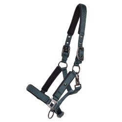 Licol poulain Deluxe QHP