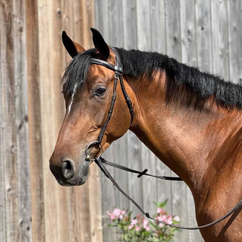 Bridon Essentiel confort T de T