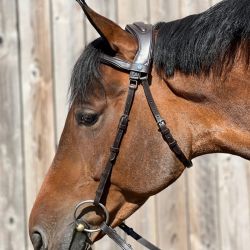 Bridon Essentiel confort T de T