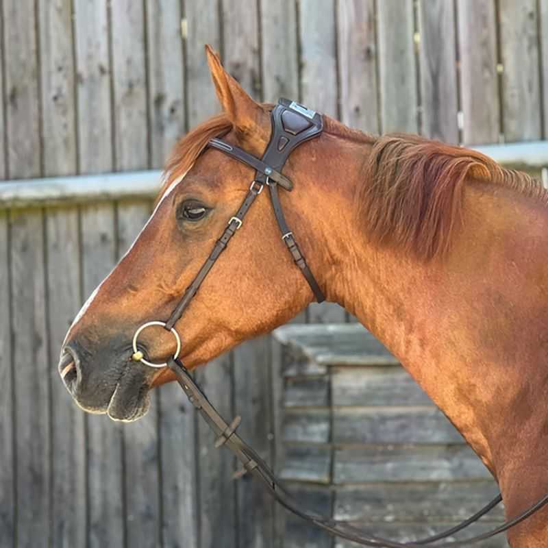 Bridon Essentiel à pont T de T