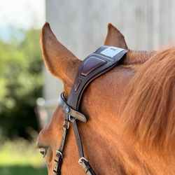 Bridon Essentiel à pont T de T