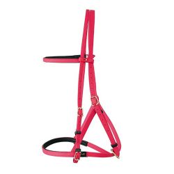 Bridon Licol Biotack T de T