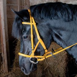 Bridon Licol Biotack T de T