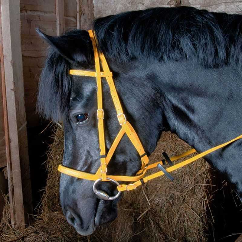 Bridon Licol Biotack T de T