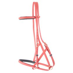 Bridon Licol Biotack T de T