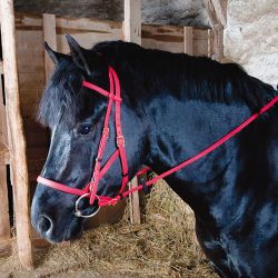 Bridon Licol Biotack T de T