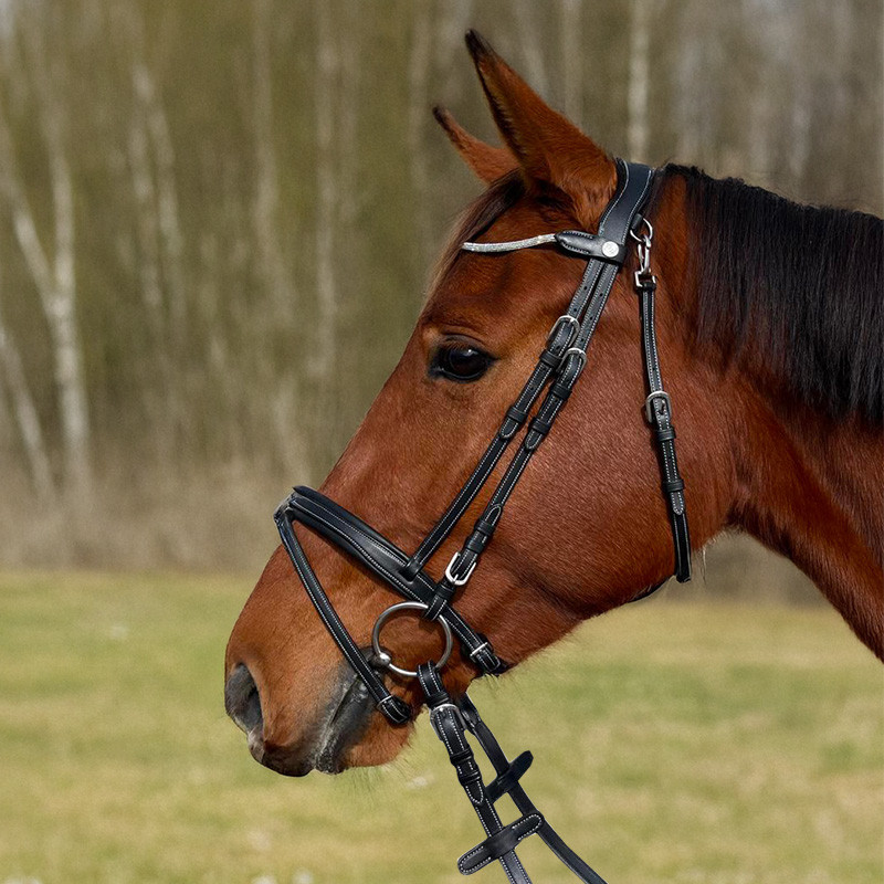 Bridon Genève Flags&Cup