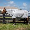 Amigo Bug Rug Plus Horseware