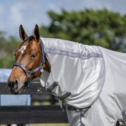 Amigo Bug Rug Plus Horseware