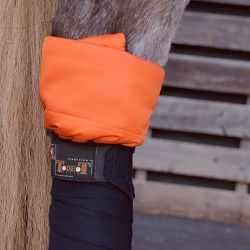 Cotons américains T de T