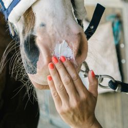 Sun Protec Ravène haute protection solaire