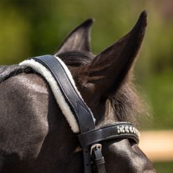 Kit de fourrures pour Bridon Sensisoft QHP
