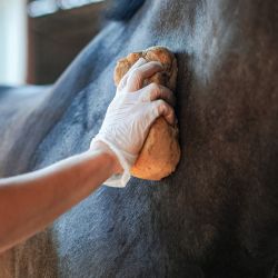 Emouchine Forte Ravene - 250ml 