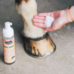 Easy Shine Mouss Ravene - Détachant