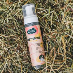 Easy Shine Mouss Ravene - Détachant