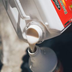 Emouchine Total Ravene