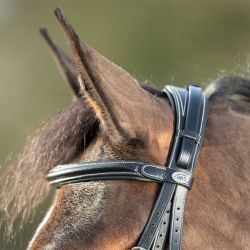 Bridon Technical HFI