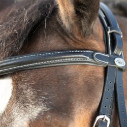 Bridon Technical HFI