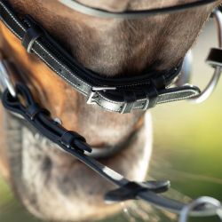 Bridon Technical HFI