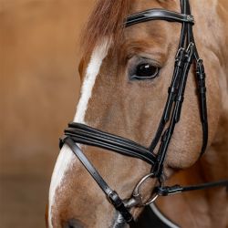 Bridon combiné Padded HFI